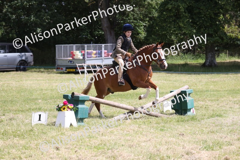 20260614-1923 - Class 21 - Novice Working Hunter Pony