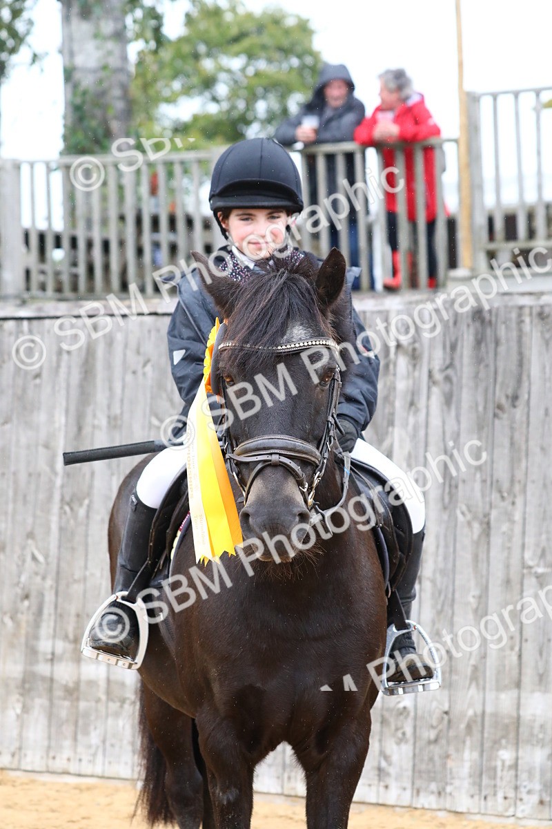 SBM_72125 - J3b - Mini Tour Junior Pony 40cm Championship