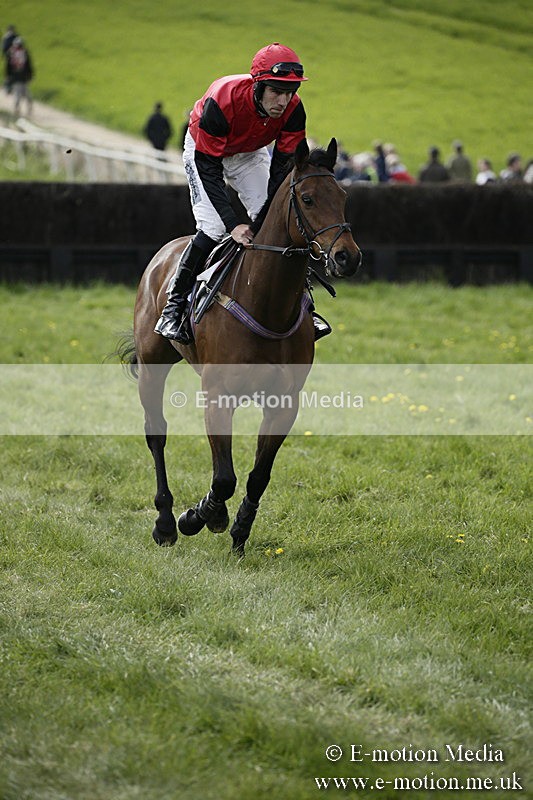 PtP 170417 407 - Old Berks Point-to-Point Lockinge 17/04/17