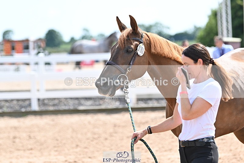 240717A-150758-02572 - Trot Up 3pm to 4pm