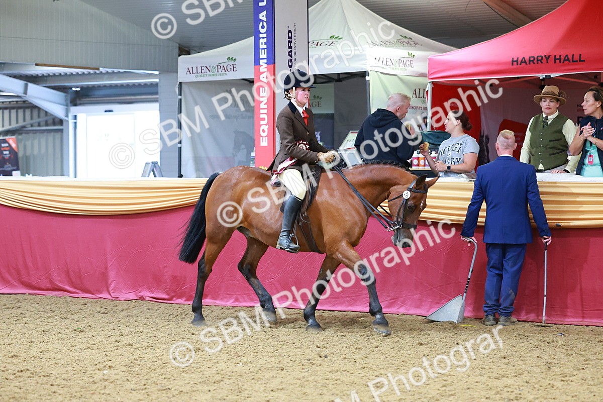 SBM_06439 - Regional Ridden Championship