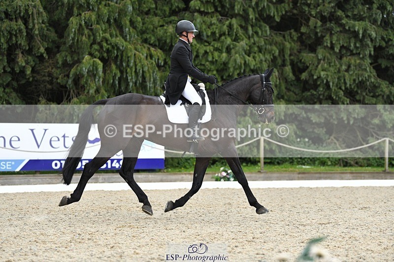 230525-141347-03116 - 319-RINGFORT_REVE_DU_MOULIN-Andrew_Downes-WEDTrotUp+DR