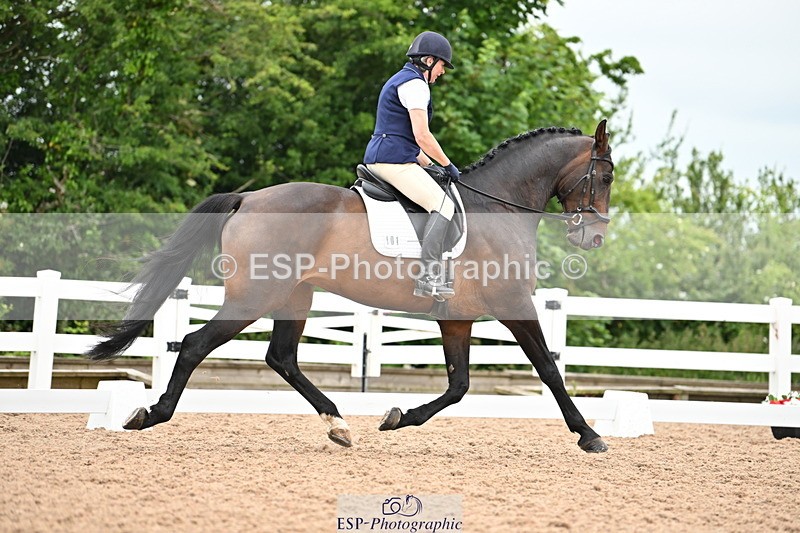 240623A-160726-19861 - Cls 54 BD Medium 73