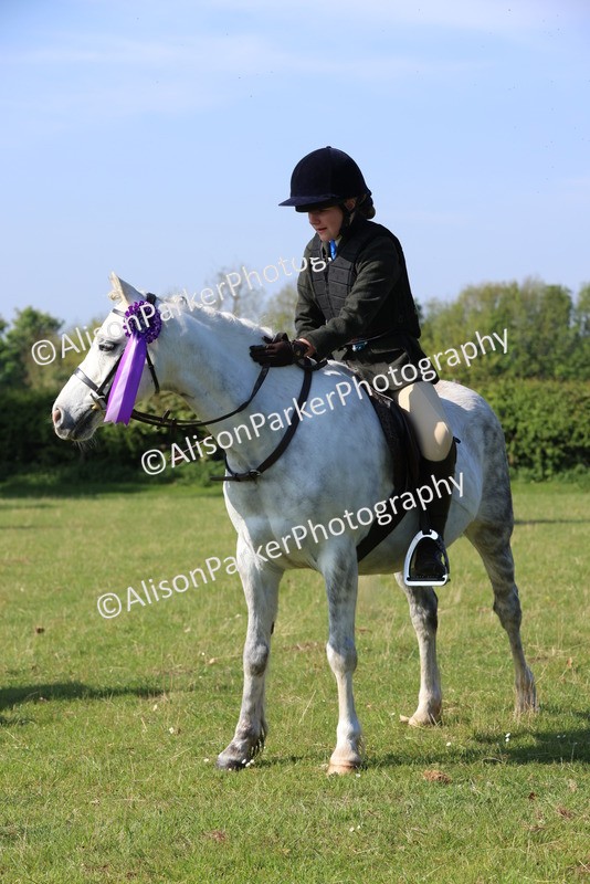 20250427-0593 - Class 17 - Novice Showing
