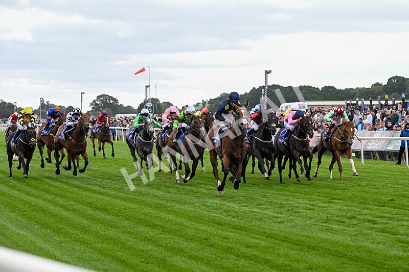 130626-Race 2-Extremely Zain-0381 - Race 2 14.25pm Sky Bet Supporting Macmillan Handicap