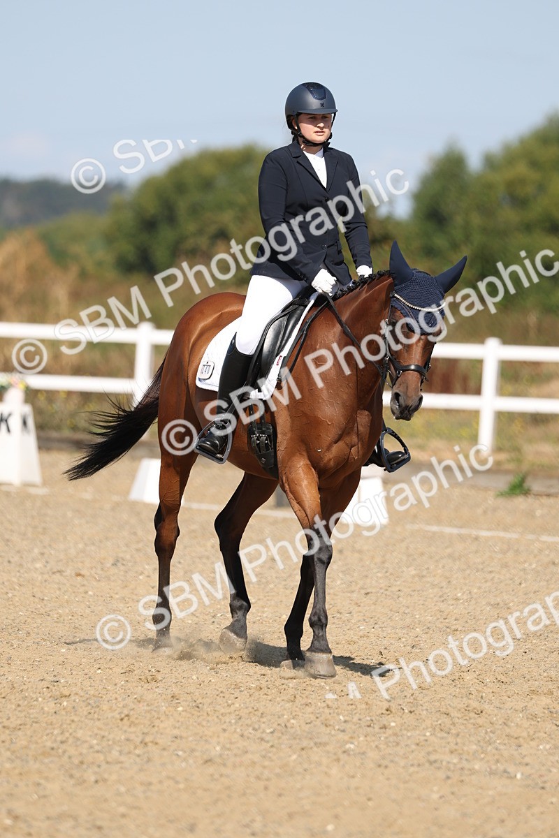 SBM_013519 - Class 1 - P5 Bronze 10.38.12.02