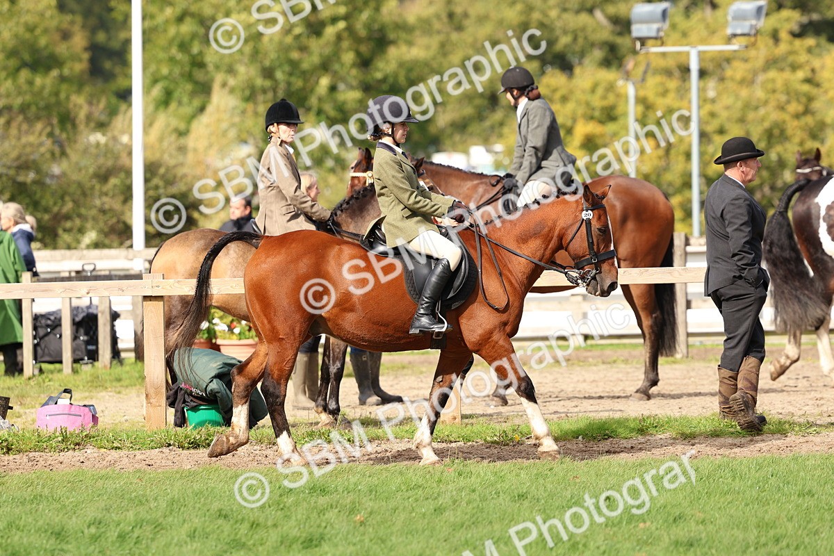 SBM_47584 - S28 - Veteran Ridden