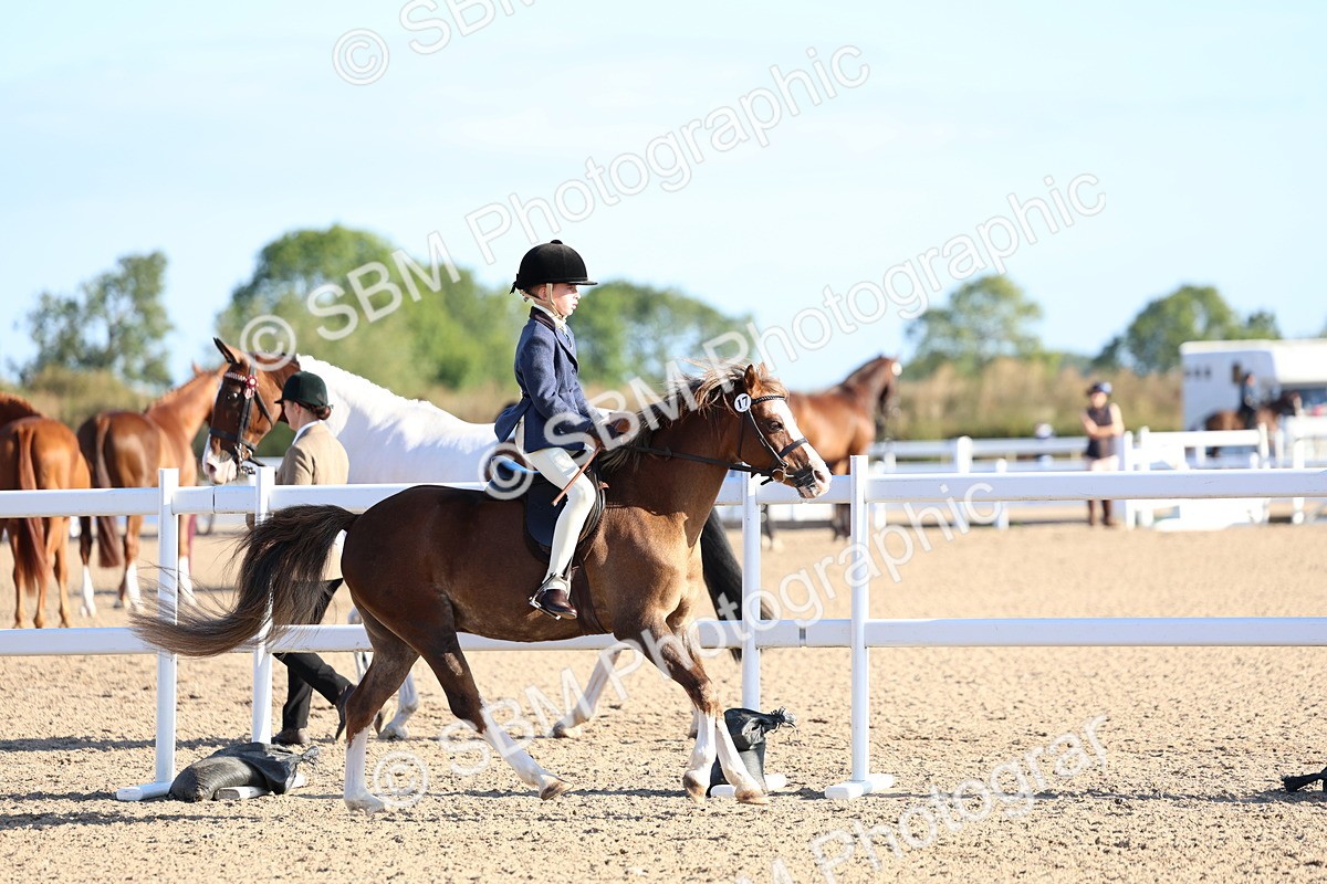 SBM_07799 - Class 301 - Ridden M&M - Small Breeds