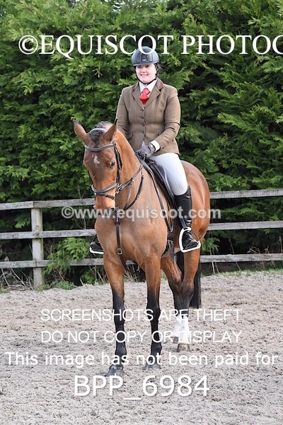 BPP_6984 - RING 1  (RIDDEN HORSES / IN HAND / VETERAN ETC)