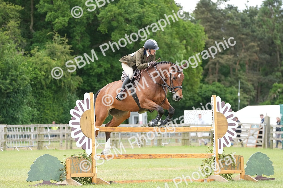 SBM_14967 - Class 100-102 - RIHS Working Hunter