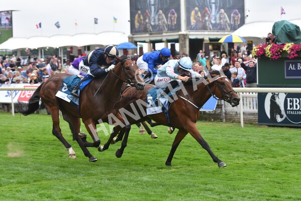 yr18082022r6-41 - Race 6 4.45 pm OR8wellness ebfstallions Nursery Handicap