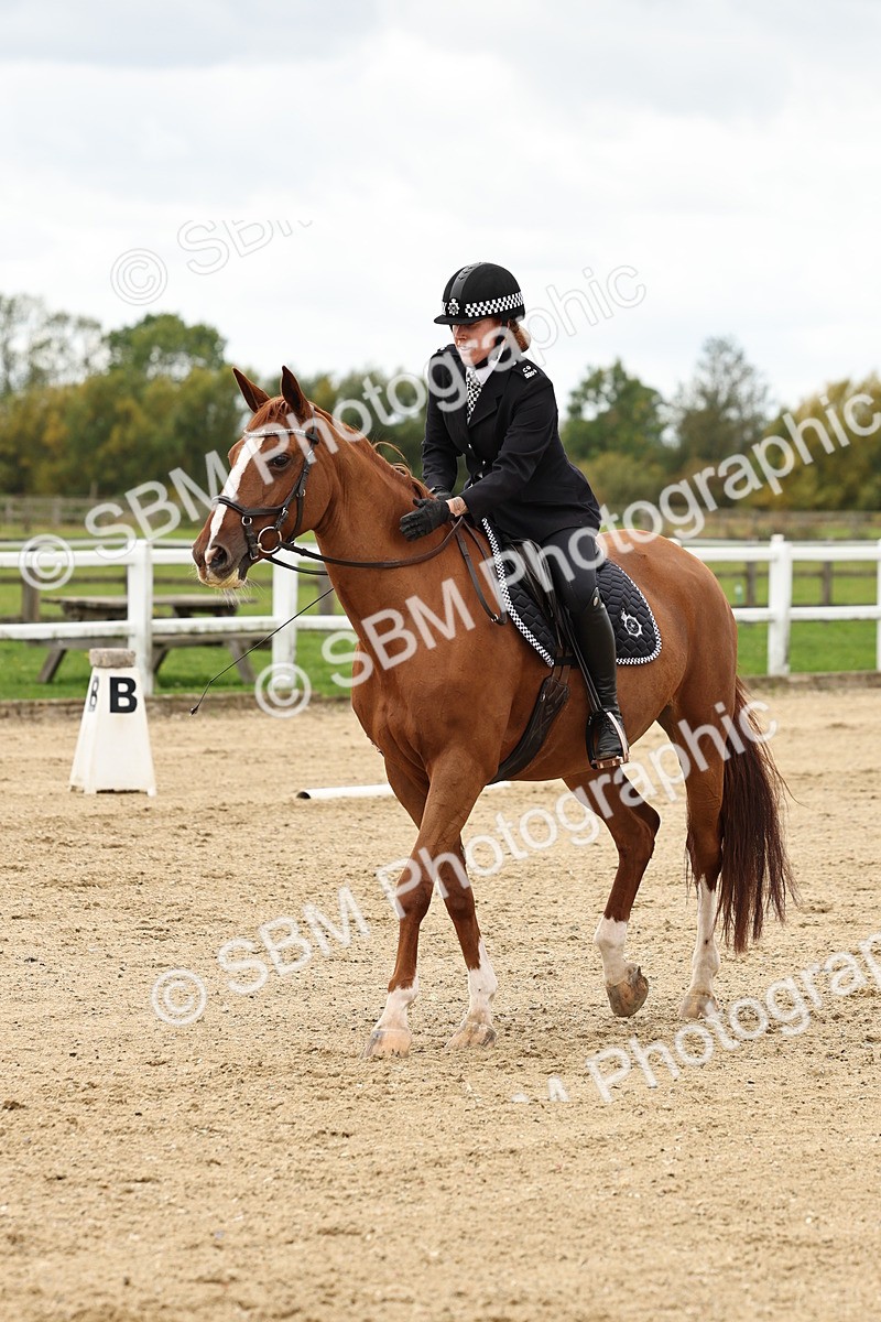 SBM_004582 - Class 69 - Novice 2