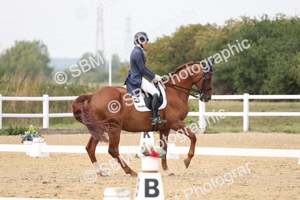 SBM_007528