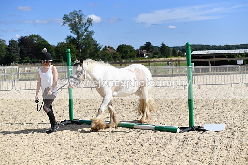 WJ5_5462 - Poles on the Floor