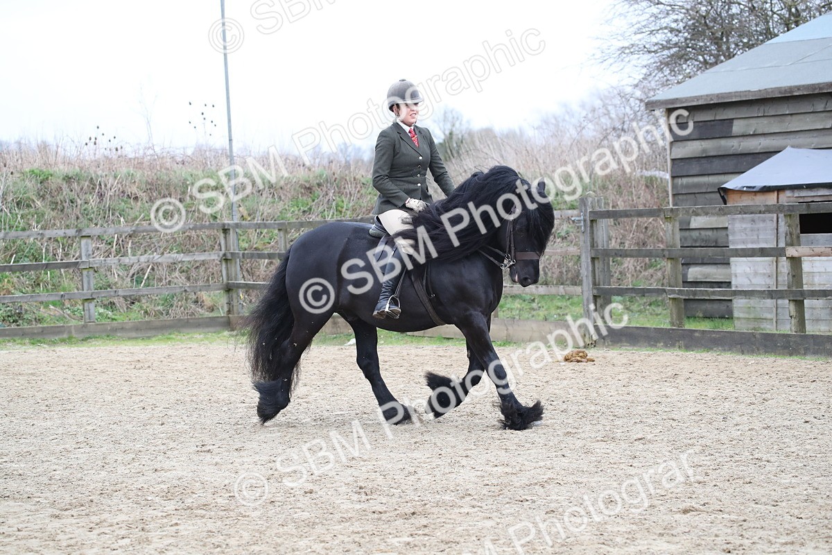 SBM_007144 - Class 10-13 - RIHS Small Large Breeds