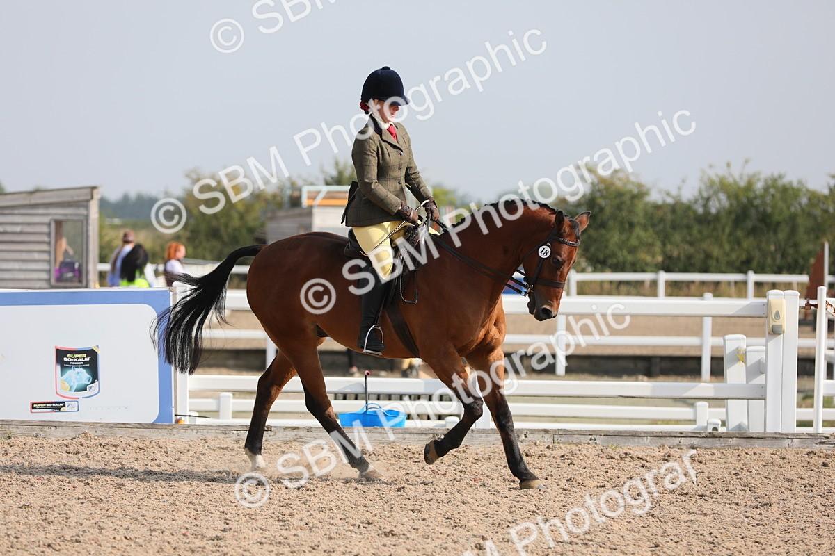 SBM_10916 - Class 304 Ridden Part Bred Horse/Pony