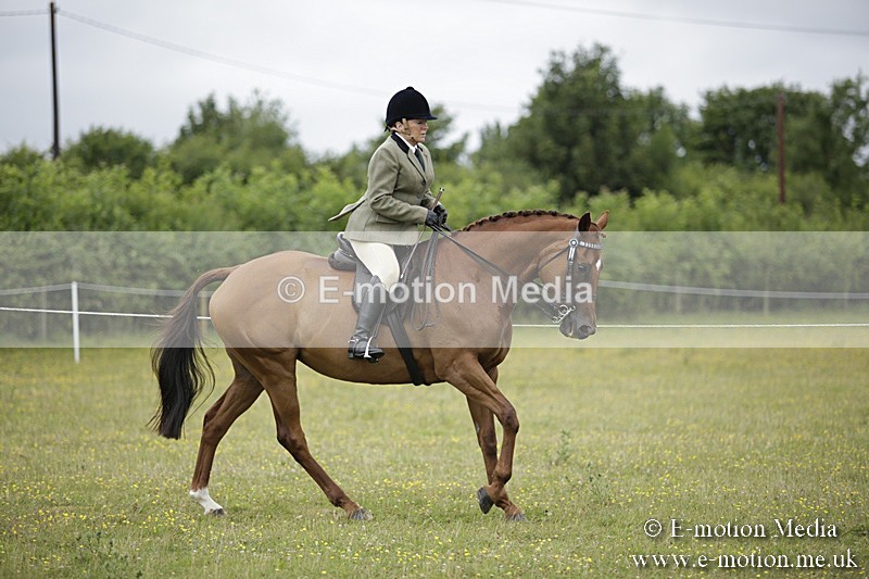 BVR160717-766 - Ring 1 BVRC Show 16/07/17