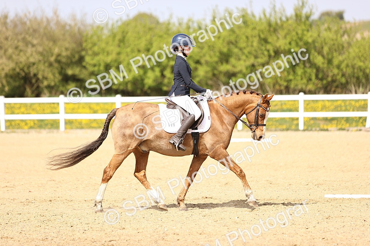 SBM_008450 - Class 8-10-11 - N3-E1-PYO