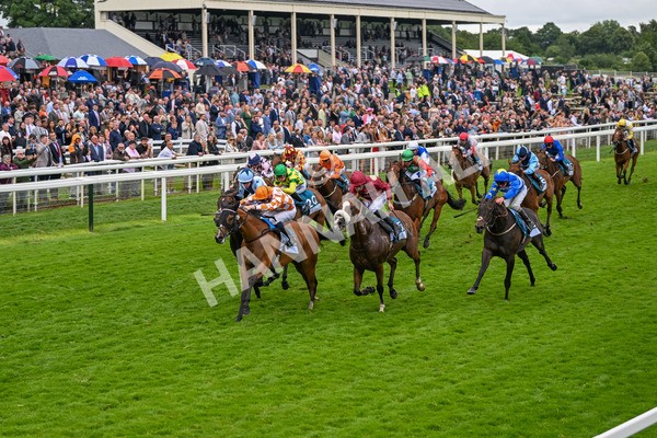 130724-Race 7-Ray Vonn-7901 - Race 7 5.25pm John Smith's Sprint Handicap