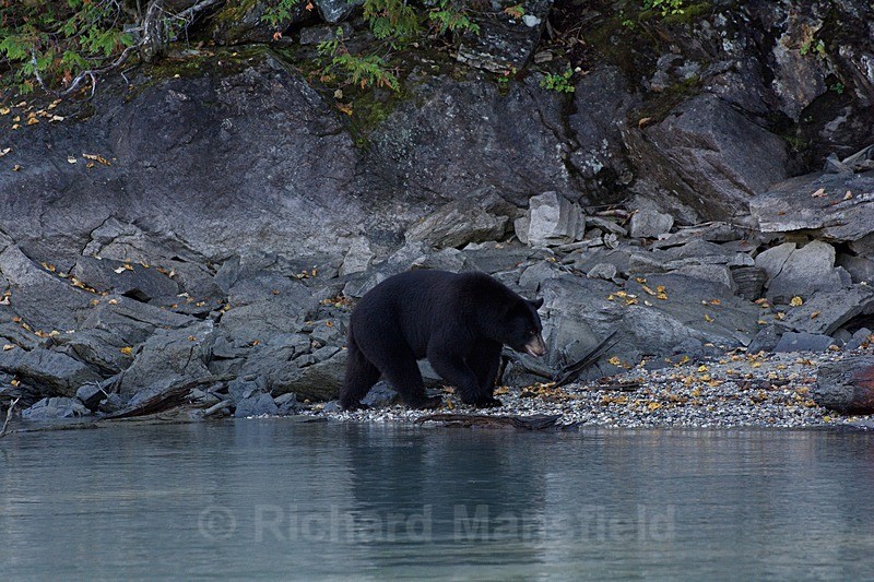  - Canada West Coast