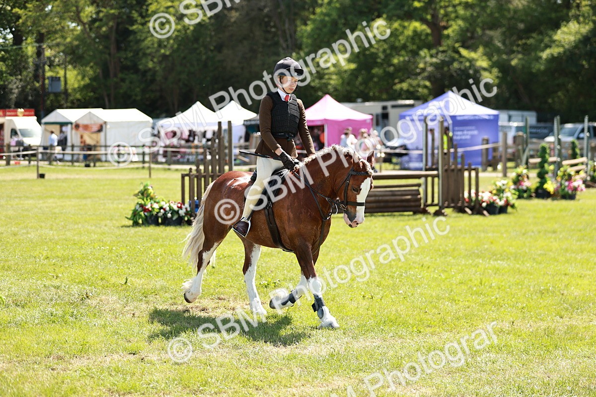 SBM_17614 - Class 112-113 - BSPS LIHS Working Sports Pony