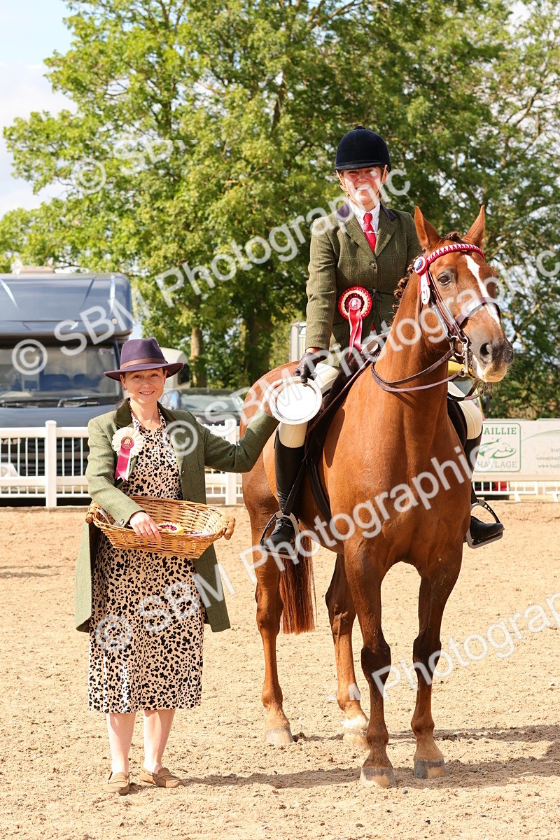 SBM_14160 - Class 213 - Ridden Hack Riding Horse