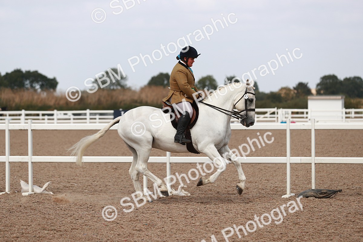 SBM_14943 - Class 212 Ridden Hunter - Small