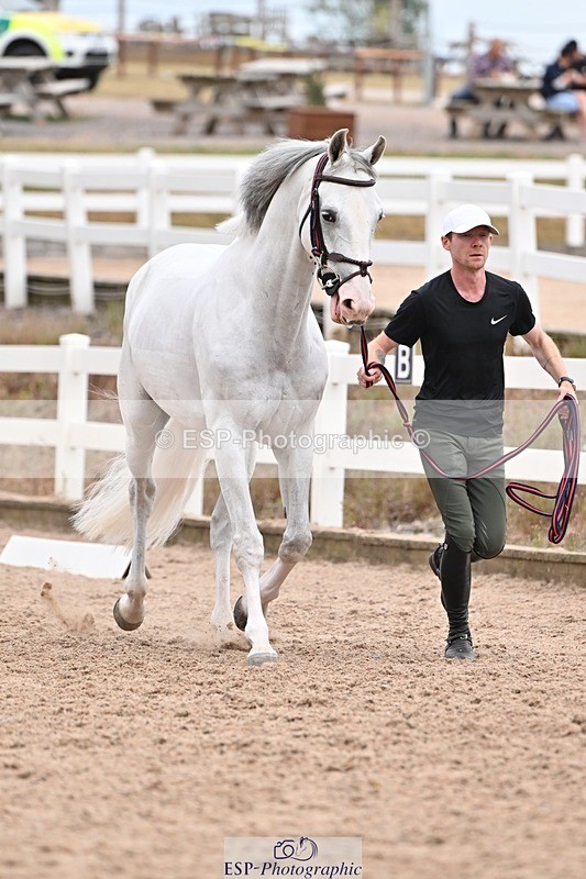 250716-154956-02208 - Trot Up 3.30 to 4.30