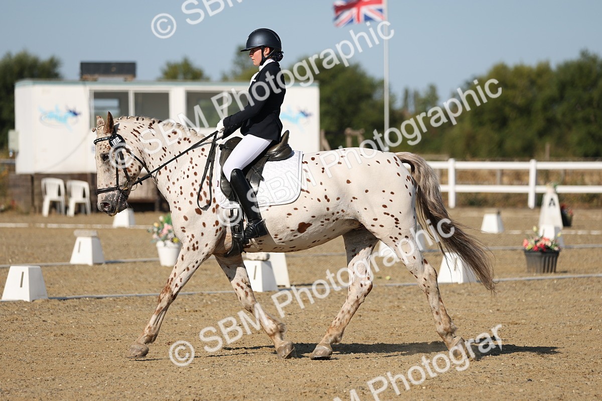 SBM_012678 - Class 1 - P5 Bronze 9.00.10.12