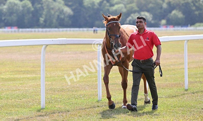 220826-124 Lake Forest - Race 3 15.00pm Sky Bet City Of York Stakes