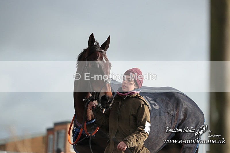 PtP 311223 395 - Larkhill Racing Club Point-to-Point 31/12/23