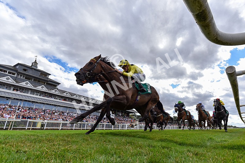 010826-Race 5-Asuka-4643 - Race 5 15.47pm William Hill Epic Boosts Handicap