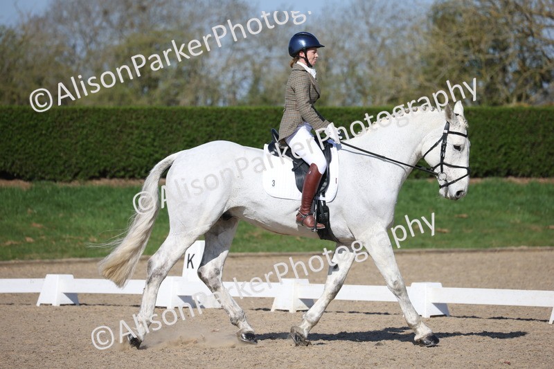 20250405-0234 - Class 11 - My Quest Novice 3