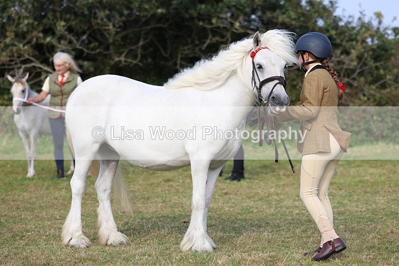 3E7A3276 - Class 12: M & M Small Breeds