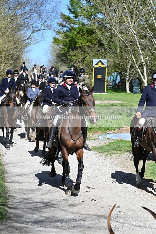 WJ7_9681 - Home for hunt tea !