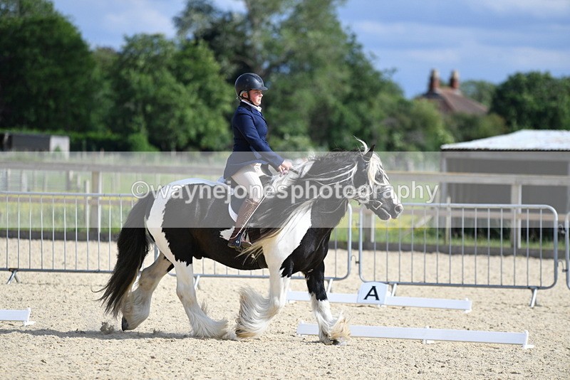 WJ5_7764 - Time 16:40 to 16:55