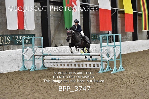 BPP_3747 - FRI CLASS 21 BR NOVICE/90CM