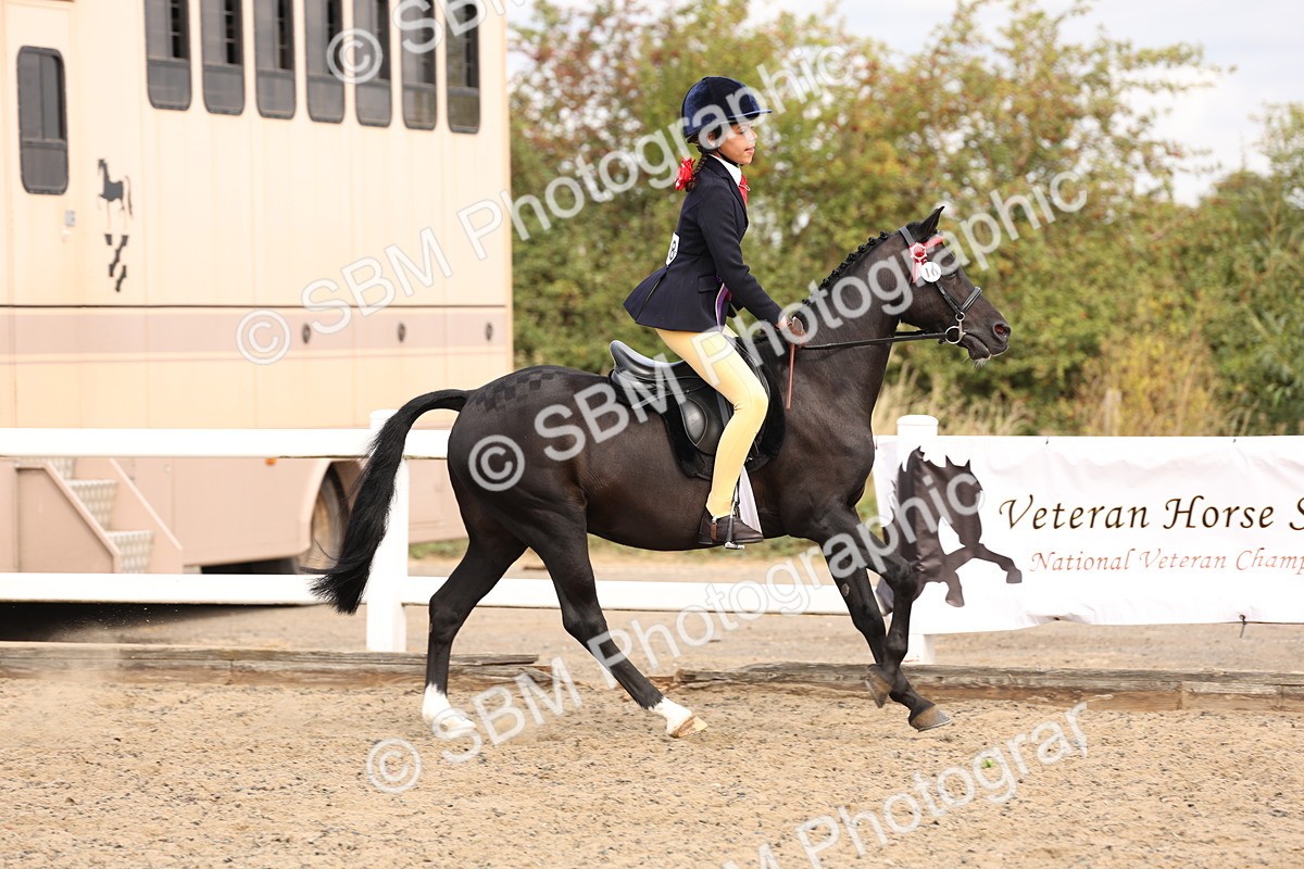 SBM_04321 - Class 54 - Riding Club Horse/Pony