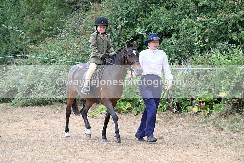 WJ7_0387 - Class 6 Ridden Mountain and Moorland