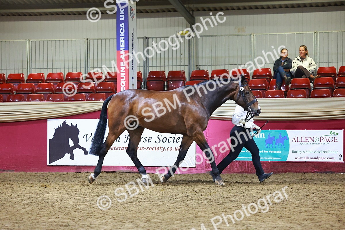 SBM_15515 - Class R - Veteran Champ