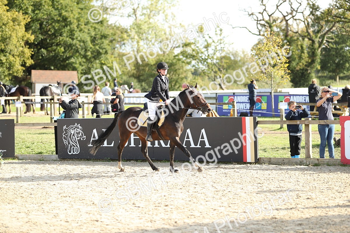SBM_49679 - J22 - Junior Horse 65cm Championship