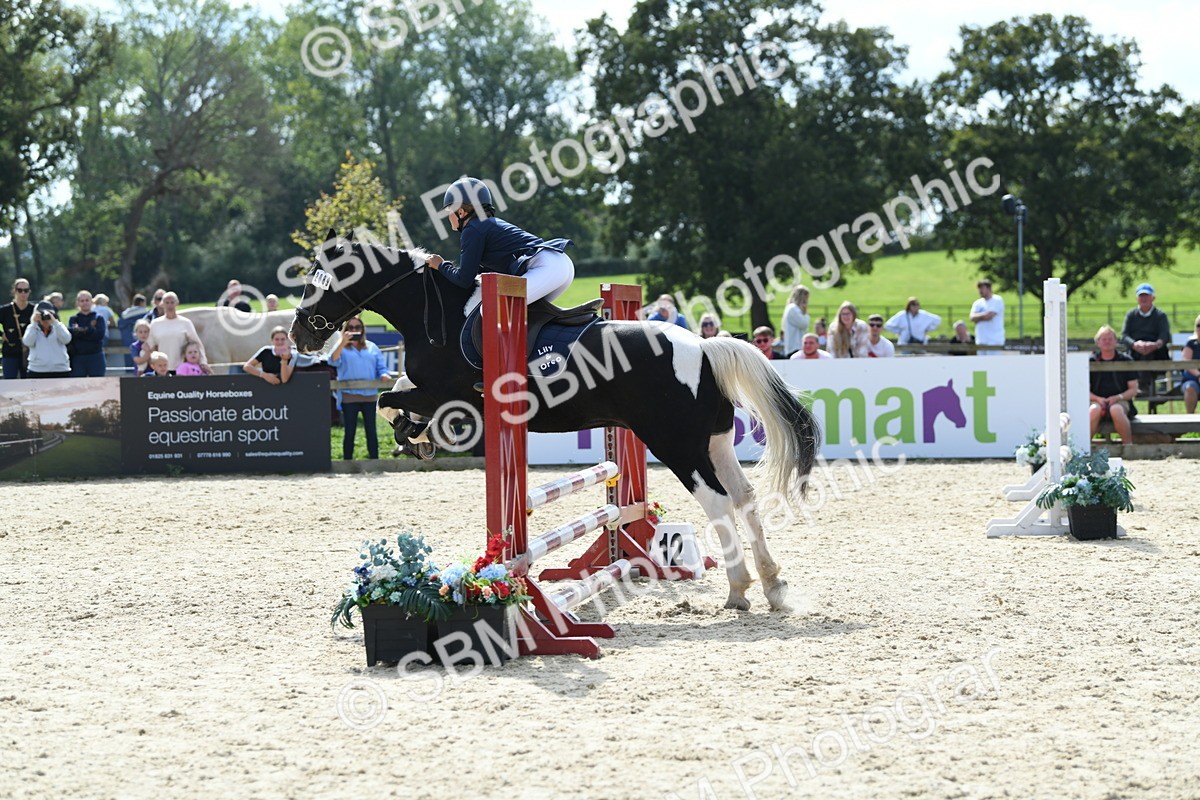 SBM_64907 - J48 - Pairs Jumping Open 70cm & 85cm