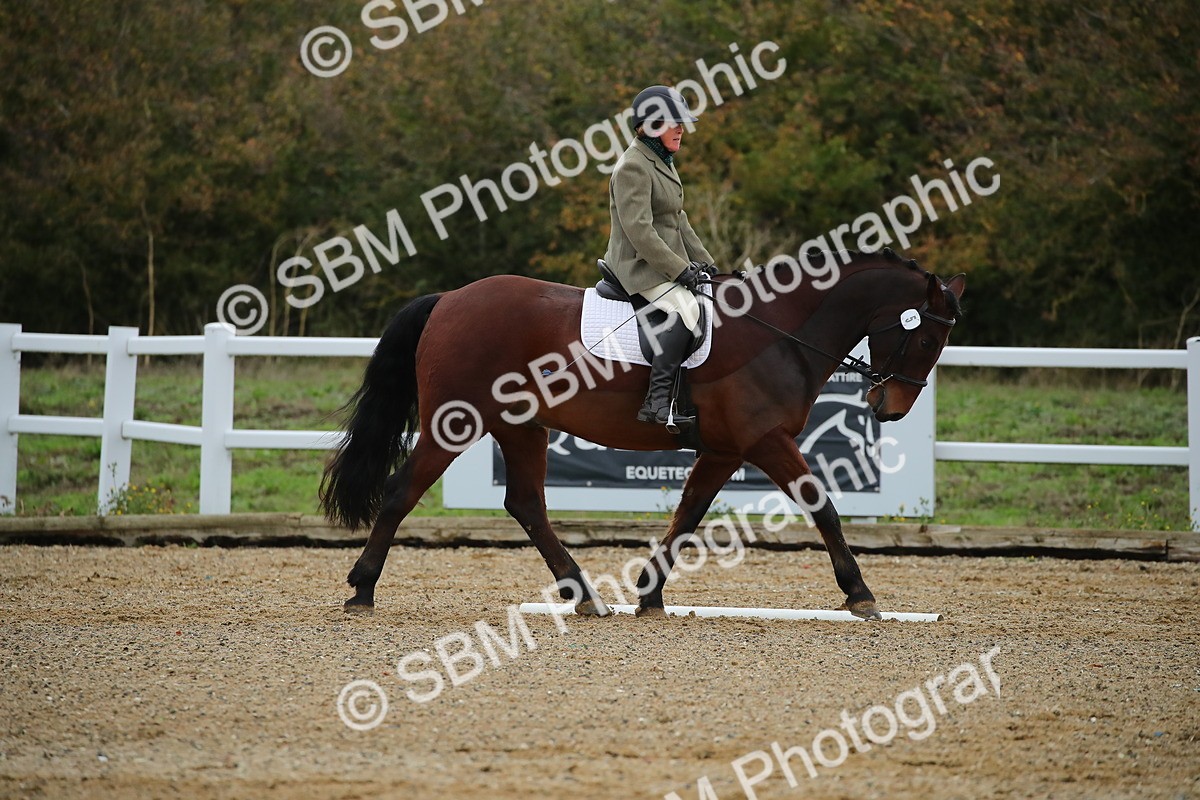 SBM_000389 - Intro 2