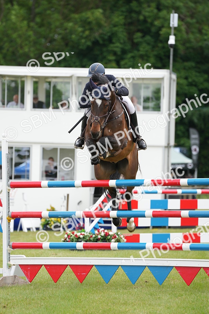 SBM_05224 - Class 201 - British Horse Feeds Speedi Beet Horse of the Year Show Grade  C