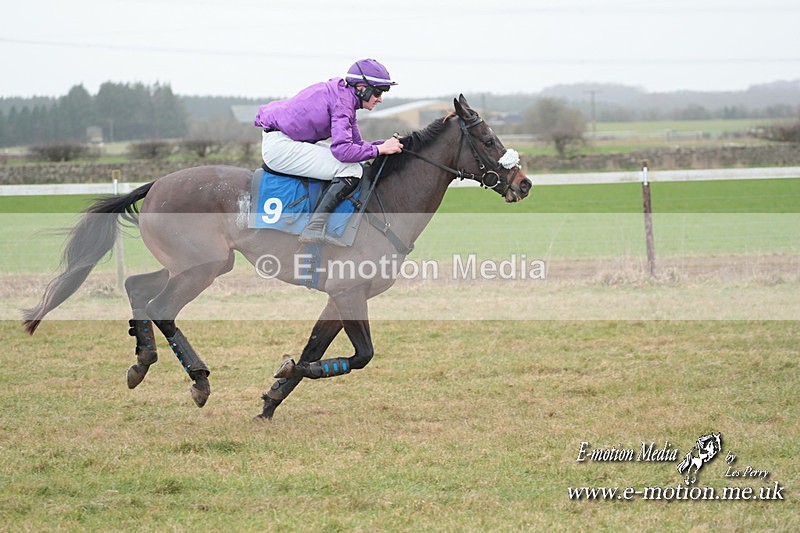 PtP 210124 558 - Cocklebarrow Races Point-to-Point 21/01/24