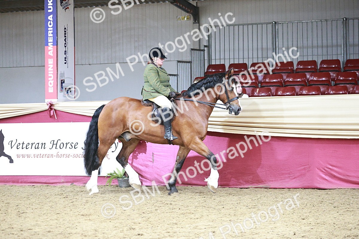 SBM_08758 - Class 12R - Regional Ridden Pre-Vet