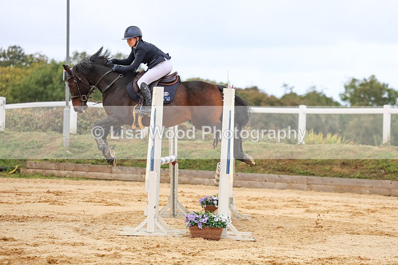 3E7A2252 - Class 4: Senior British Novice/90cm open