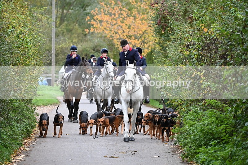 WJ6_8332 - Walk Home..