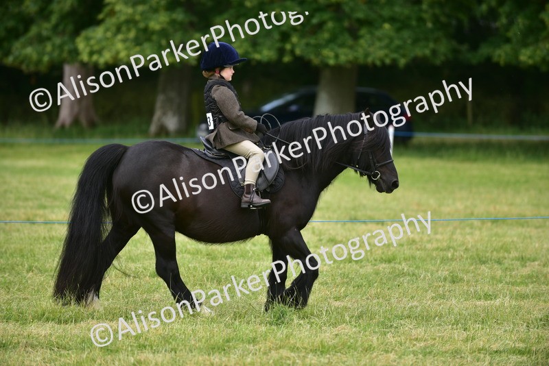 20260614-3626 - Class 15 - Prettiest Mare
