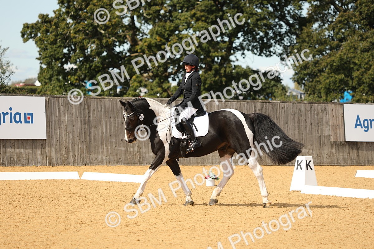 SBM_22194 - D17 - Grand Tour Championship - Novice 27